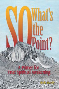 So What’s The Point? ... A Primer in True Spiritual Awakening by Dan Lively